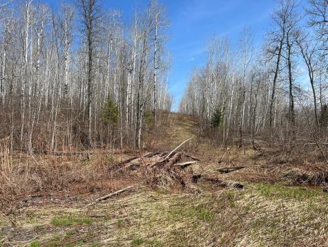 Tbd Gulley Road Maple WI 54854