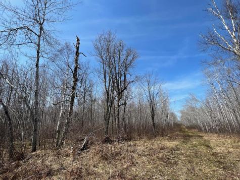 Tbd Gulley Road Maple WI 54854