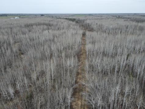 Tbd Gulley Road Maple WI 54854