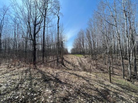 Tbd Gulley Road Maple WI 54854
