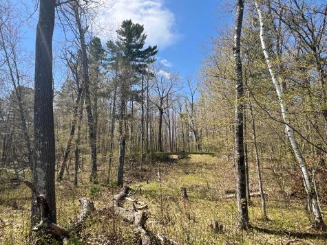 N4365 Red Oak Lane Stone Lake WI 54876