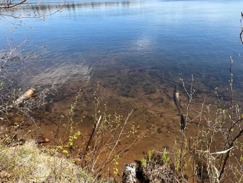 N4365 Red Oak Lane Stone Lake WI 54876