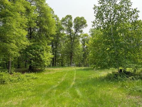 Tbd Little Bass Lake Road Baxter MN 56425