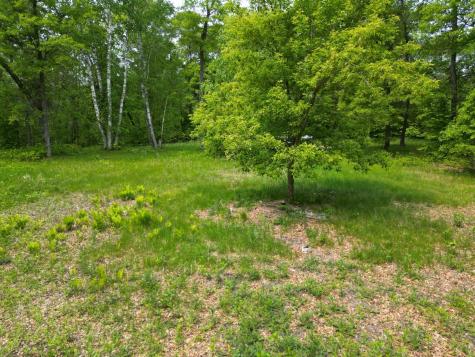 Tbd Little Bass Lake Road Baxter MN 56425