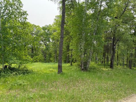 Tbd Little Bass Lake Road Baxter MN 56425
