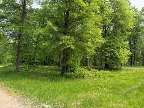 Tbd Little Bass Lake Road Baxter MN 56425
