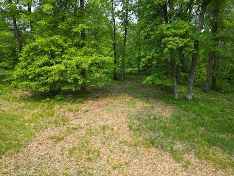 Tbd Little Bass Lake Road Baxter MN 56425