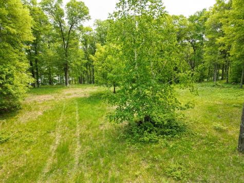 Tbd Little Bass Lake Road Baxter MN 56425