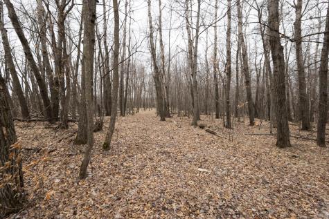 Lot 4 Saylers Beach Road Lake Park MN 56554