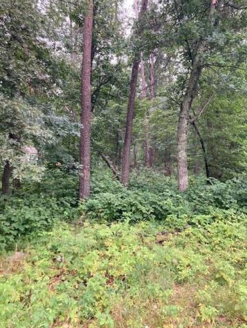 Lot 39 & 40 Owl Circle Breezy Point MN 56472