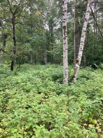 Lot 39 & 40 Owl Circle Breezy Point MN 56472