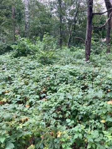 Lot 39 & 40 Owl Circle Breezy Point MN 56472