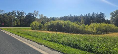 Tbd ( Lot 1, Blk 1) 3rd Avenue SE Harmony MN 55939