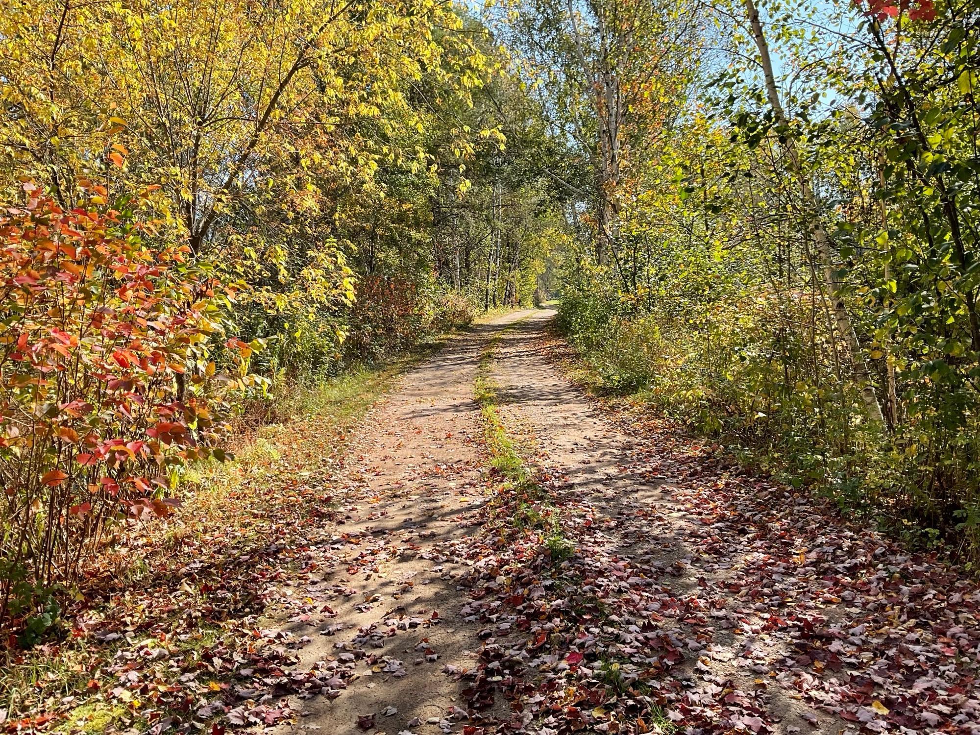 56694 Williams Lane Sandstone MN 55072