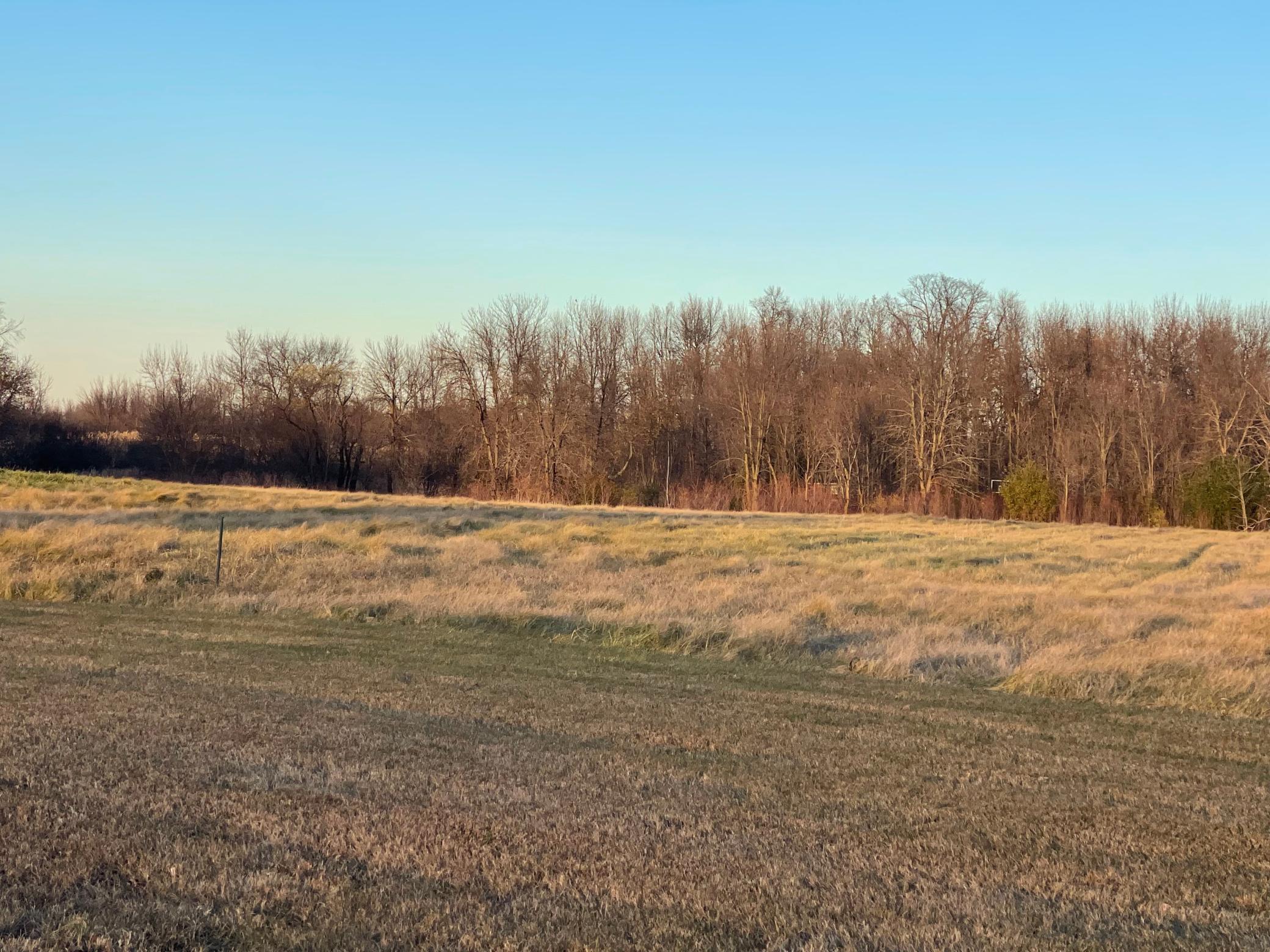 Lot 8 Block 1 Donway Place NE Alexandria MN 56308