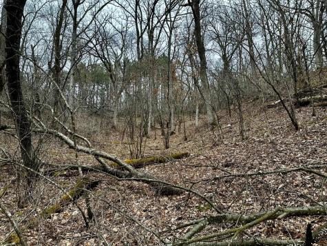 2555 Trading Post Trail S Afton MN 55001