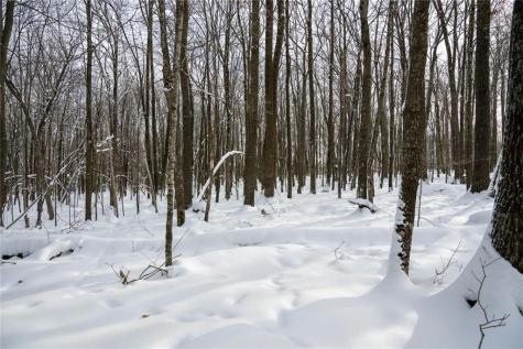 Block 1 Comet Road Exeland WI 54835