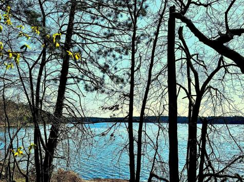 Tbd Rognaldson Road Brainerd MN 56401