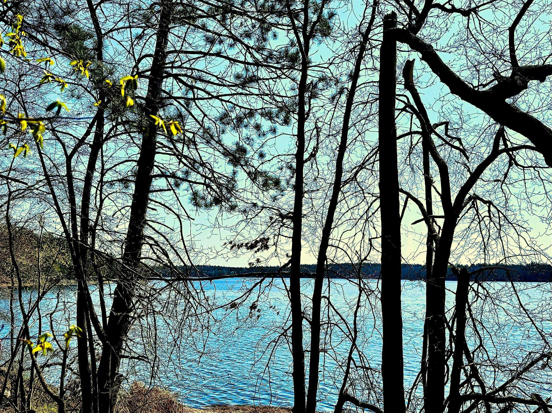 Tbd Rognaldson Road Brainerd MN 56401