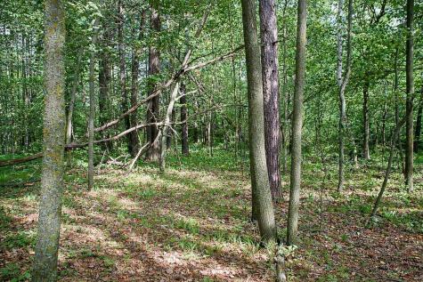 Tbd Rognaldson Road Brainerd MN 56401