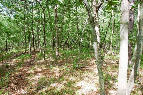 Tbd Rognaldson Road Brainerd MN 56401