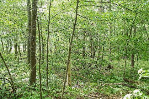 Tbd Rognaldson Road Brainerd MN 56401