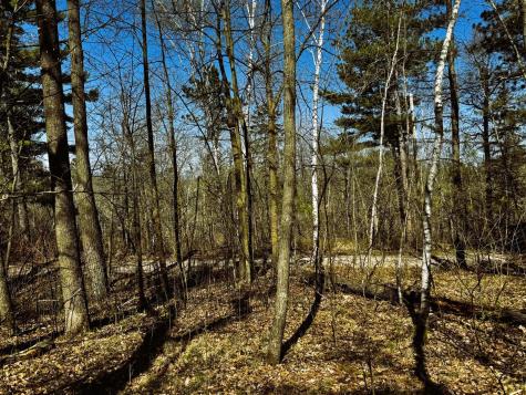 Tbd Rognaldson Road Brainerd MN 56401