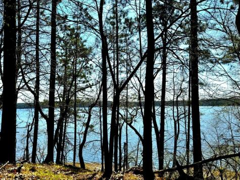 Tbd Rognaldson Road Brainerd MN 56401