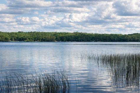 Tbd Rognaldson Road Brainerd MN 56401