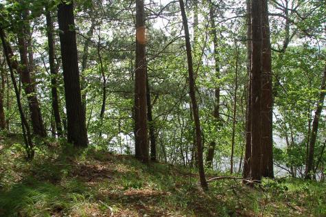 Tbd Rognaldson Road Brainerd MN 56401