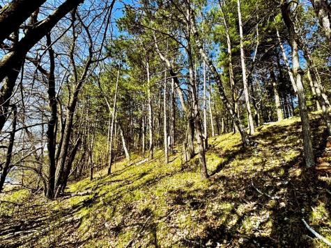 Tbd Rognaldson Road Brainerd MN 56401