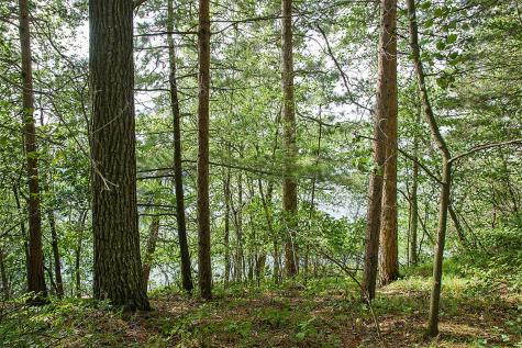 Tbd Rognaldson Road Brainerd MN 56401