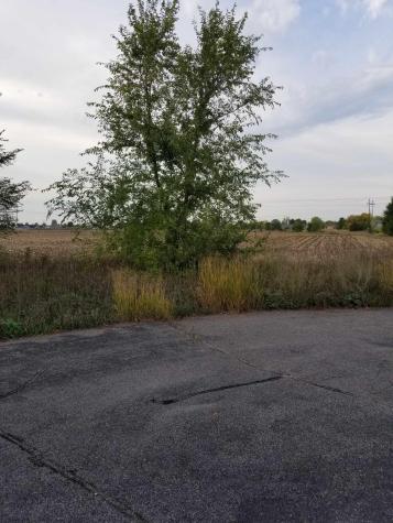 Xxx Edmonson Avenue NE Monticello MN 55362