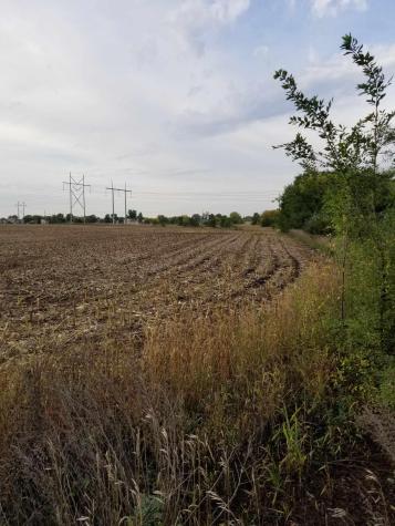 Xxx Edmonson Avenue NE Monticello MN 55362