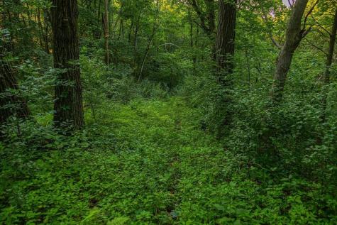 0 Cty S Road Blair WI 54616