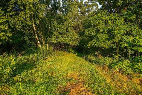 0 Cty S Road Blair WI 54616