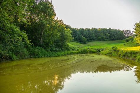 0 Cty S Road Blair WI 54616