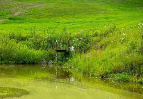 0 Cty S Road Blair WI 54616