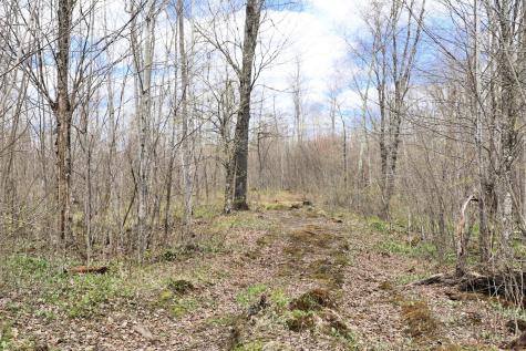 0000 West Eckel Lane Exeland WI 54835