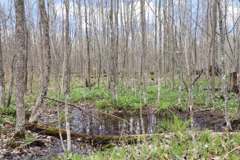 0000 West Eckel Lane Exeland WI 54835