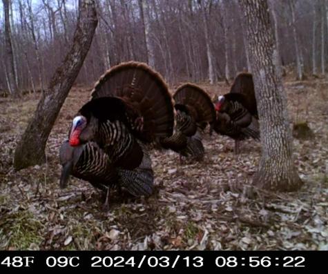 0000 West Eckel Lane Exeland WI 54835