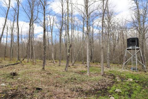 0000 West Eckel Lane Exeland WI 54835