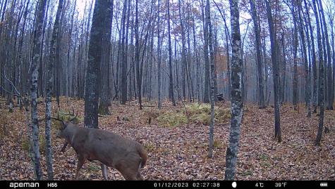 0000 West Eckel Lane Exeland WI 54835