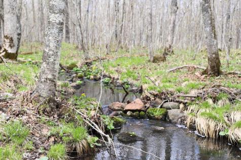 0000 West Eckel Lane Exeland WI 54835
