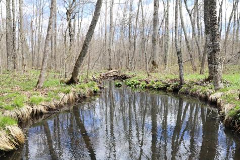 0000 West Eckel Lane Exeland WI 54835