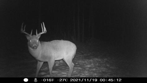 0000 West Eckel Lane Exeland WI 54835