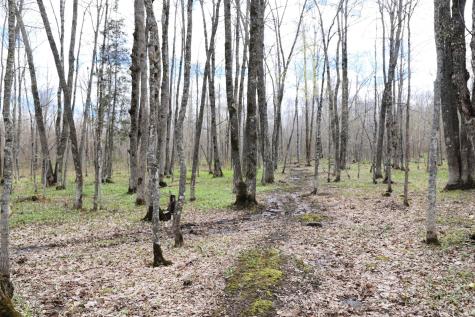 0000 West Eckel Lane Exeland WI 54835