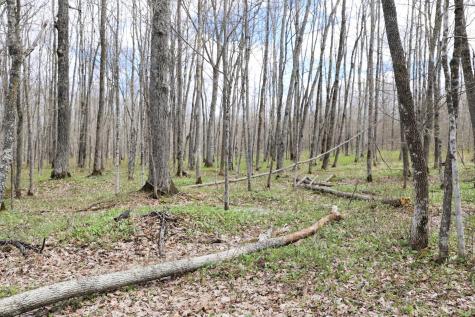 0000 West Eckel Lane Exeland WI 54835