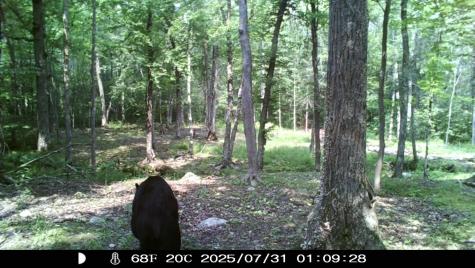 0000 West Eckel Lane Exeland WI 54835