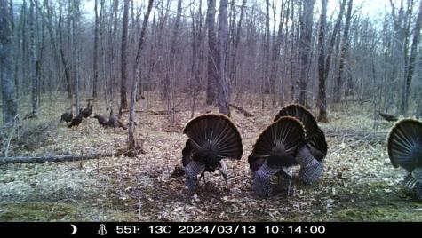 0000 West Eckel Lane Exeland WI 54835